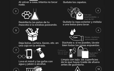 El «protocolo» para entrar a tu casa y no meter el coronavirus