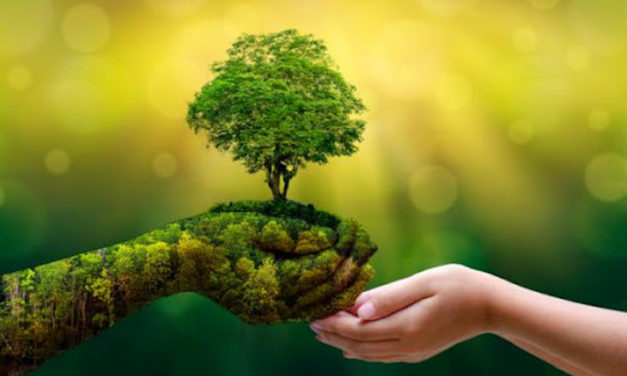 05 de JUNIO- «DÍA MUNDIAL del MEDIO AMBIENTE»