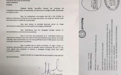 MUNICIPALES de AVELLANEDA (B.A.)