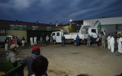 MUNICIPALES de MERCEDES (B.A.)