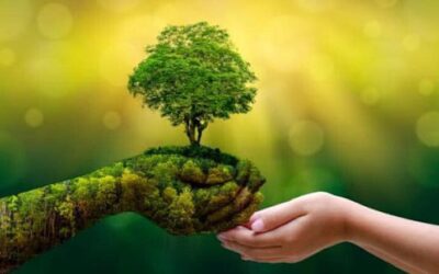 05 de JUNIO- «DÍA MUNDIAL del MEDIO AMBIENTE»
