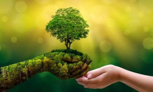 05 de JUNIO- «DÍA MUNDIAL del MEDIO AMBIENTE»