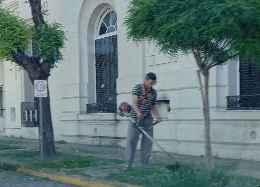 Saavedra: el intendente cortó el pasto en el municipio