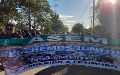 Informe 1:. MUNICIPALES de PATAGONES (B.A.) – ASEM –