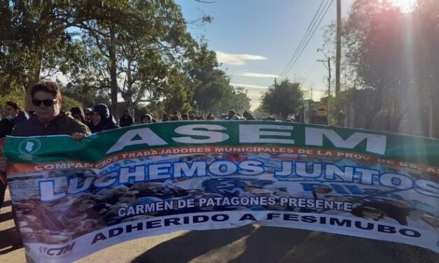 Informe 1:. MUNICIPALES de PATAGONES (B.A.) – ASEM –