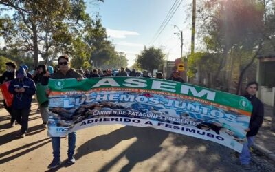MUNICIPALES de PATAGONES (B.A.) – ASEM –