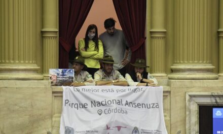 Diputados aprobó la creación del Parque Nacional Ansenuza en Córdoba