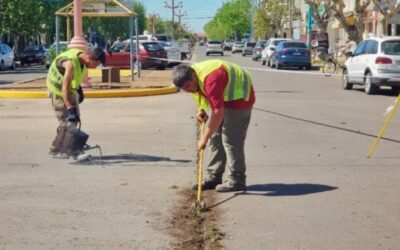 Los Municipales lograron un 8% de aumento en diciembre y llegaron al 96,6 acumulado en 2022