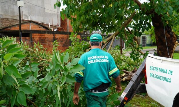 TODAS LAS ÁREAS MUNICIPALES TRABAJAN EN LA ASISTENCIA POR EL FUERTE TEMPORAL