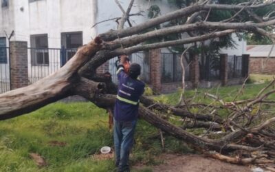 MUNICIPALES de FLORENCIO VARELA (B.A.) – SEMF –