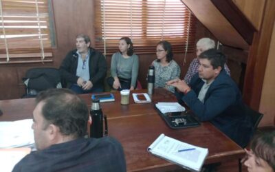 MUNICIPALES de SAN PEDRO (B.A.) – STMP –
