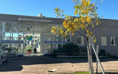 MUNICIPALES de Gral. RODRIGUEZ (B.A.) – STMGR –