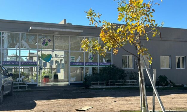 MUNICIPALES de Gral. RODRIGUEZ (B.A.) – STMGR –