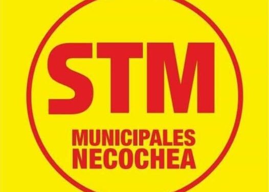 MUNICIPALES NECOCHEA
