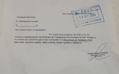 MUNICIPALES de SAN VICENTE (B.A.) – STMSV –
