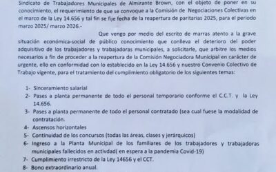 MUNICIPALES ALMIRANTE BROWN