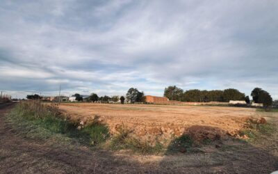 MUNICIPALES de BALCARCE (B.A.) – STMB –