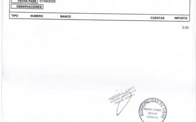 MUNICIPALES TIGRE