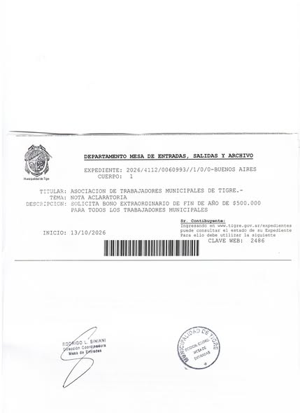 MUNICIPALES TIGRE