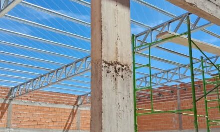 ¡SEGUIMOS AVANZANDO! – Fesimubo Guaminí